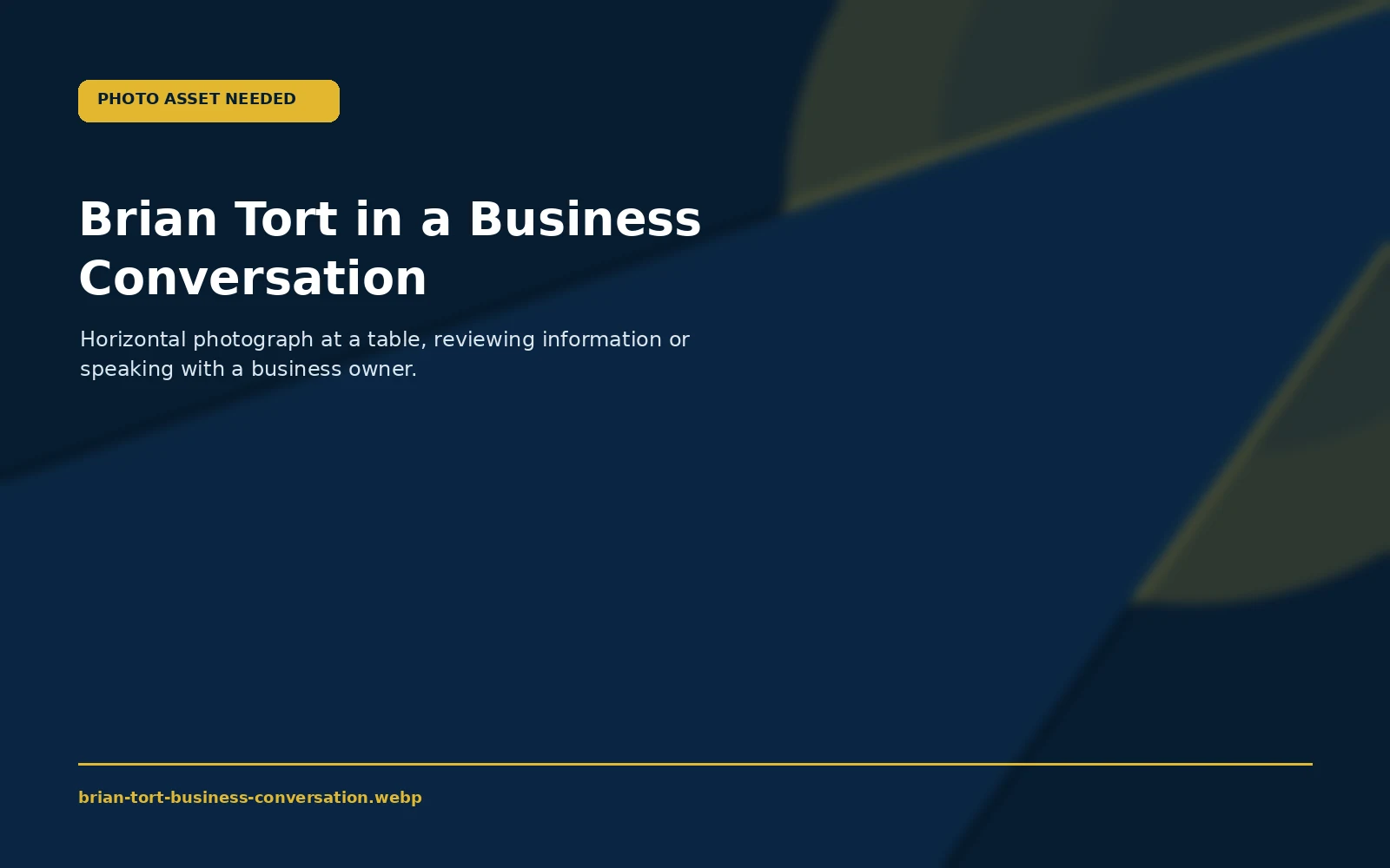 Placeholder for Brian Tort in a business conversation