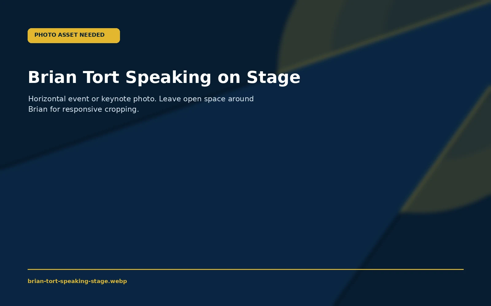 Placeholder for Brian Tort speaking on stage